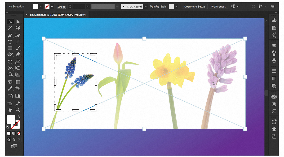 Updates Fur Illustrator Und Indesign Cc Profifoto